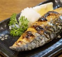 Pacific Saury