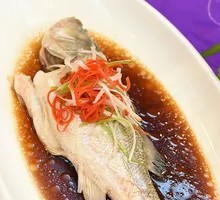 Steamed Sea Bass