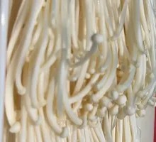 Enoki Mushroom