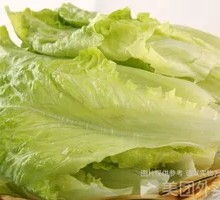 Lettuce