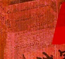 麻辣毛毛虫鱿鱼卷