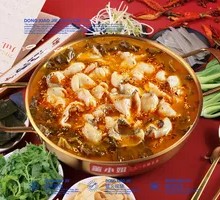 Spicy Pickled Cabbage Black Bass