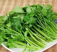 Cilantro