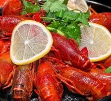 Cooling Ice-Plated Giant Shrimp