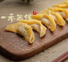 Pan-Fried Dumplings