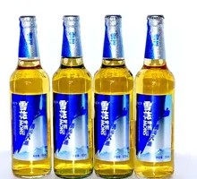 Snowflake Brave Journey