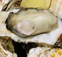 Pressure Cooker Oysters