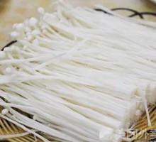 Enoki Mushroom