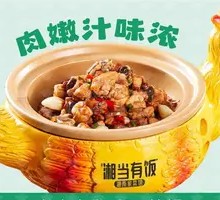 Tea Oil Chicken Stir-Fry