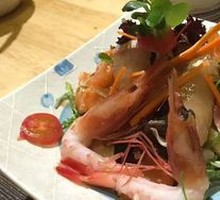 Live Peony Shrimp