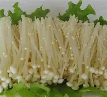 Enoki Mushroom