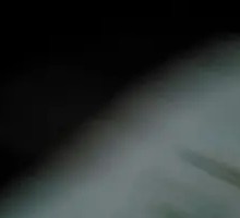 Spicy Chicken Leg Burger