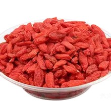 Goji Berry