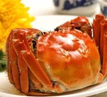 Yangcheng Lake Crab