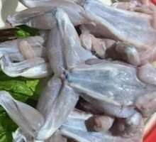 Fresh Frog Legs