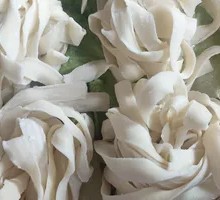 Hand-Kneaded Noodles