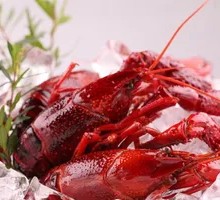 冰镇龙虾