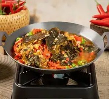 Spicy Softshell Turtle