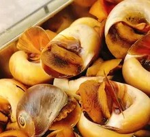 Spicy Drunk Cat's Eye Snail