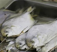 Spanish mackerel and bream