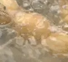 Shrimp Dumplings