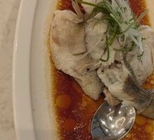 Steamed Sea Bass