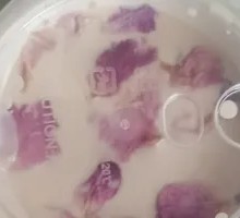 Light Beauty Rose Ginger Milk Tea