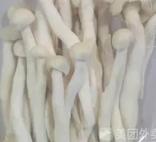 Seafood Mushroom