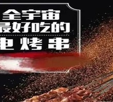 Electric Grilled Skewers