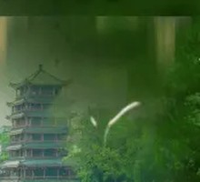 Feixi Old Hen Chicken Soup