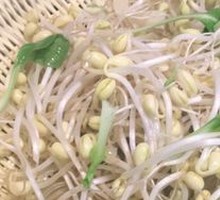 Mung Bean Sprouts