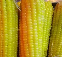 Corn