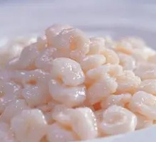 Shrimp