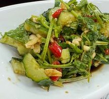 Cucumber Salad