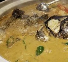 White Soup Bighead Carp