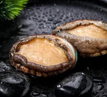 Fresh and Plump Abalone