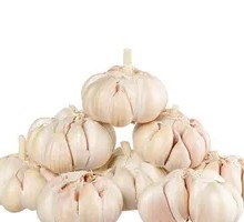Whole Head of Garlic