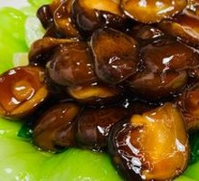 Bamboo Shoots with Chinese Mushrooms