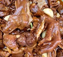 Wanxi Large White Goose