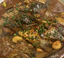 Reservoir Crucian Carp