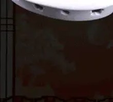 Stinky Mandarin Fish