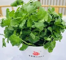 Cilantro