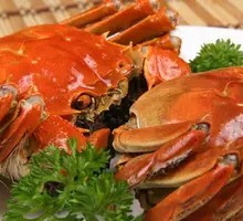 Male Soft-Shelled Crab