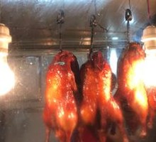 Roast Duck