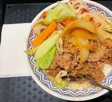 Fresh Vegetable Beef Rice