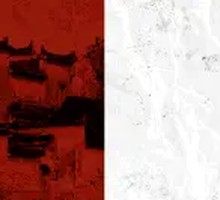 Premium Steamed Shrimp