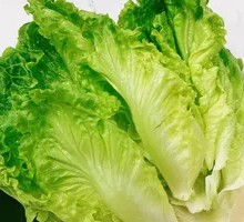 Lettuce