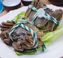 Female Soft-Shelled Crab