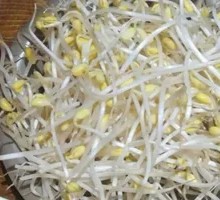 Bean sprouts