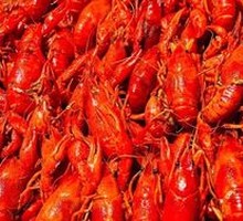 Crawfish